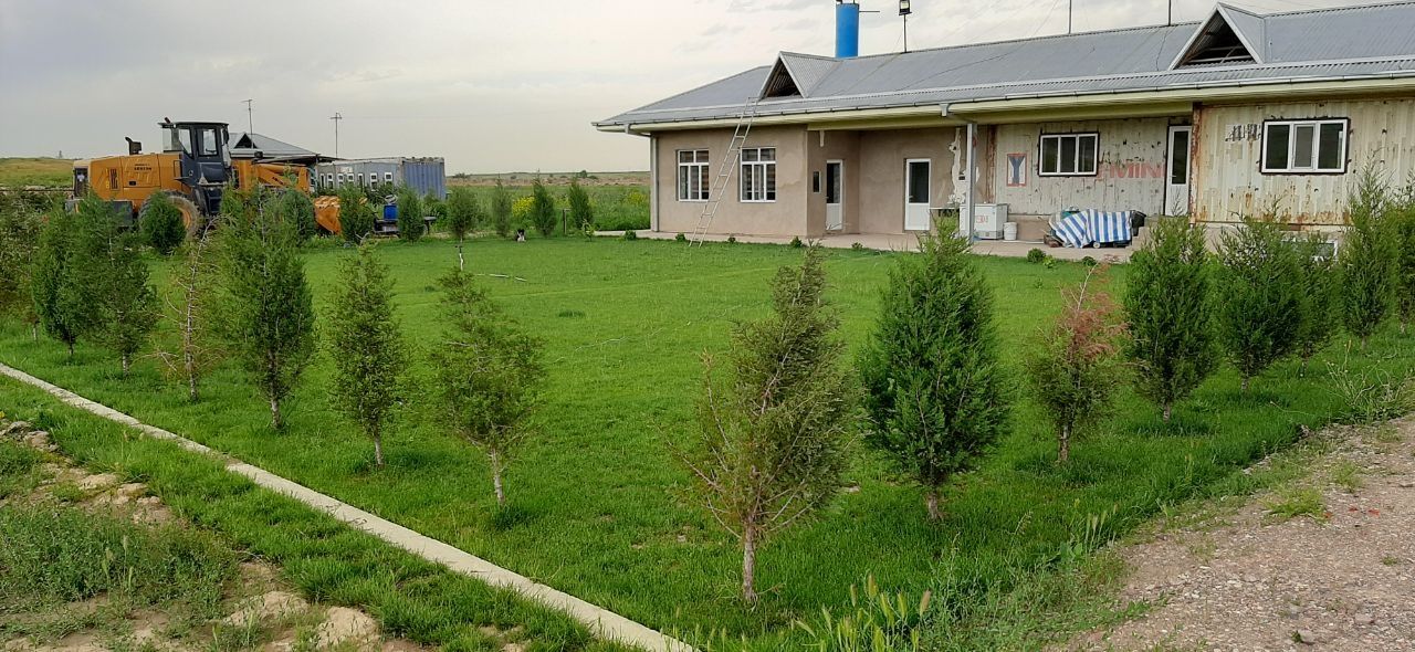 Ахангаран. Кирпичный завод 9 га