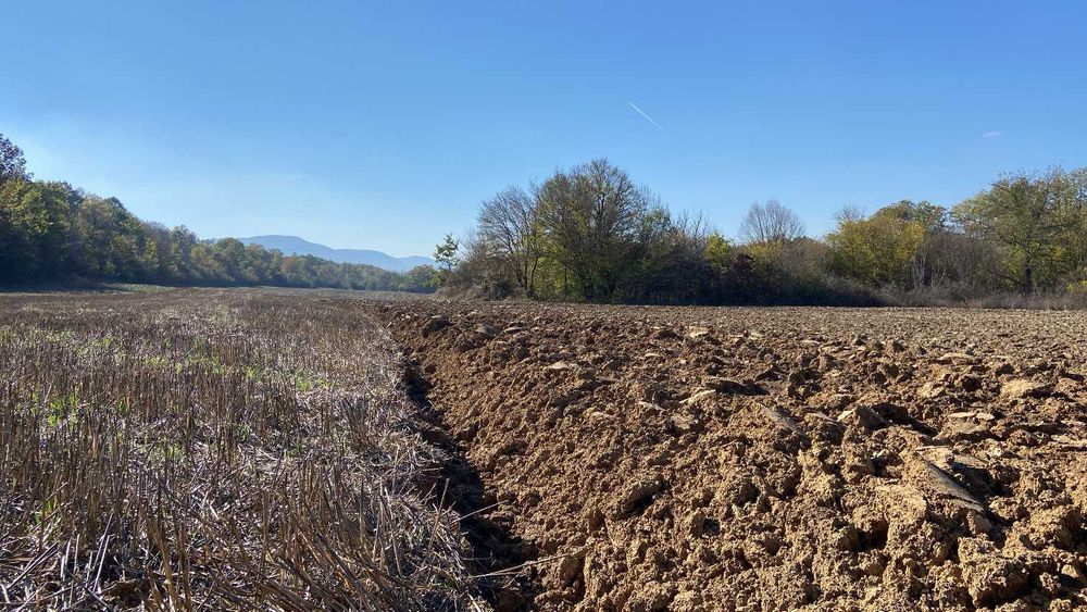 5 Декара Земеделска земя Рента 100 лева