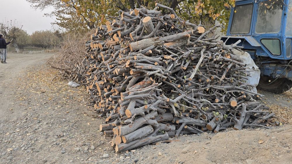 Утин сотилади кесилган