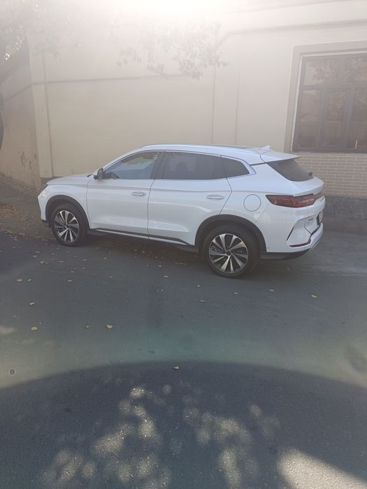 Byd Champion 605 km flagship Honor 2024.07