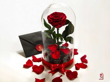 ЕСТЕСТВЕНА Вечна роза в ГОЛЯМА стъкленица /Идея за Предложение за Брак