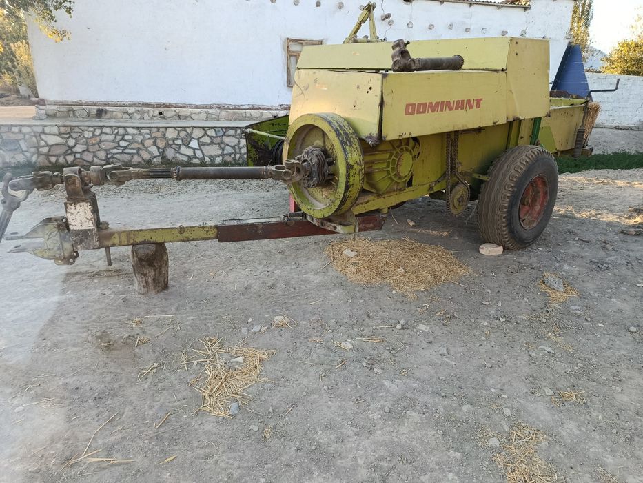 Pirespadborshik 60 sotiladi