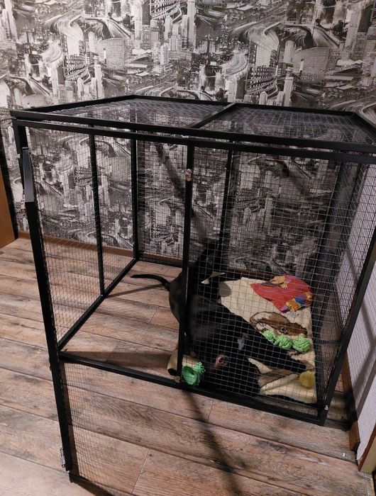 Продам вольер 120х100х100