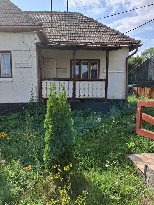Casa de vanzare Valea Topliței
