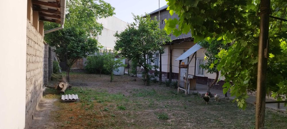 Mirzo Ulug'bek tumani qorasuv 6 kuva kochasi 64 uy