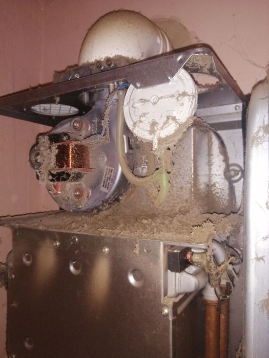 Ремонт двухконтурных котлов любой марки