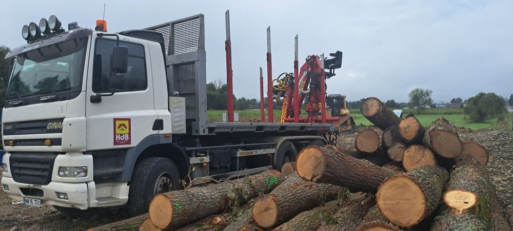 Daf ginaf basculanta abrollkipper 3 axe 32t  450000 km variante schimb