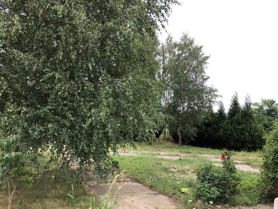 Casa /Vila de vanzare