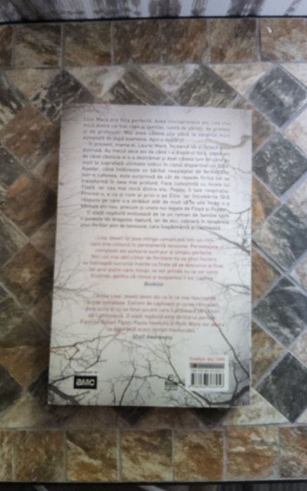 O viata regasita Lisa Jewell