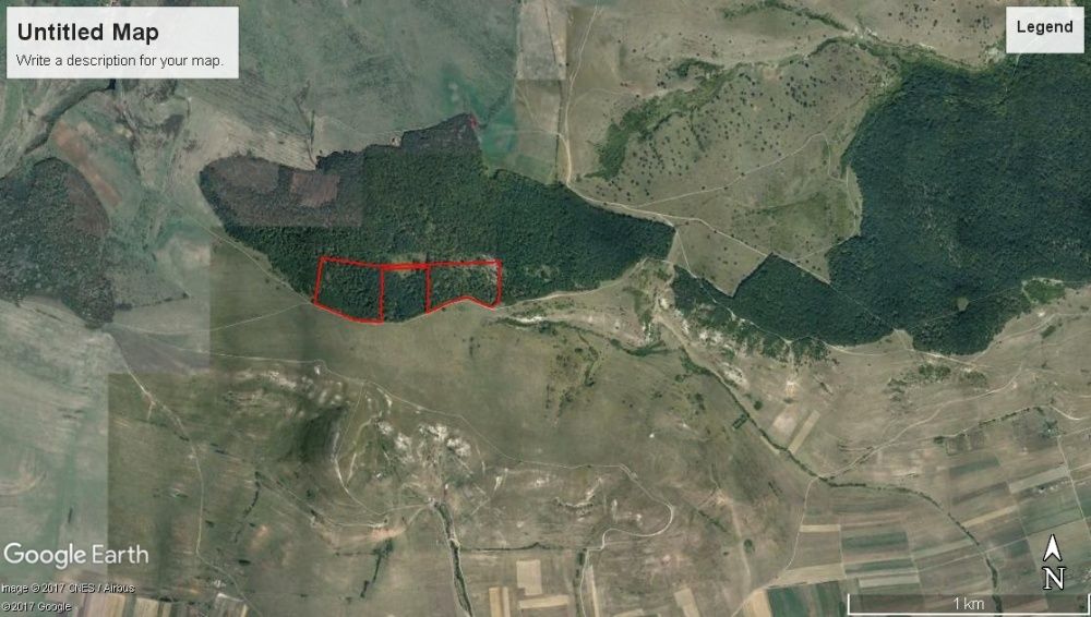 Vand PADURE 14Ha la margine Padurea Baciu cu posib. de dezvoltare imob