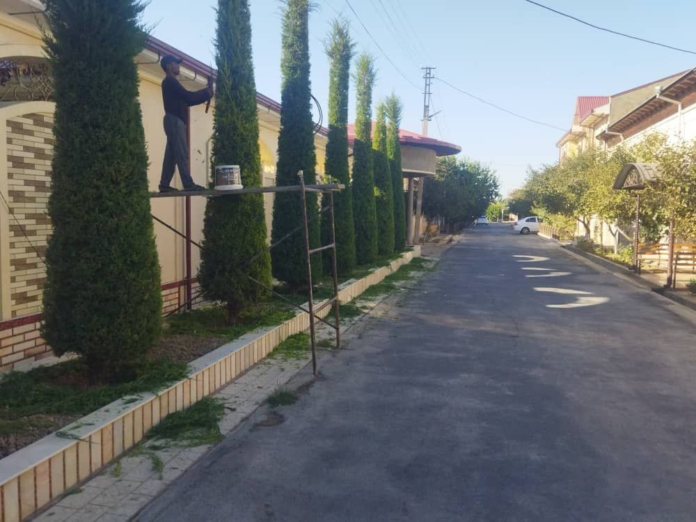Archa kesish dorilash va gazon bogʻbon chilik ikkish xizmati