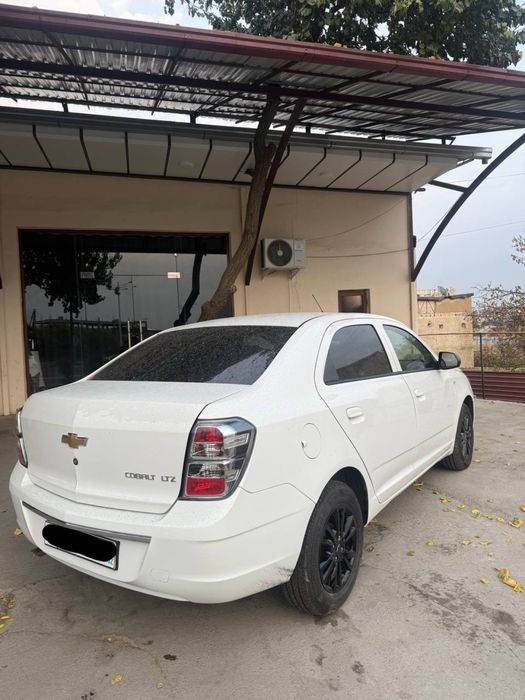 Cobalt midnight 2025