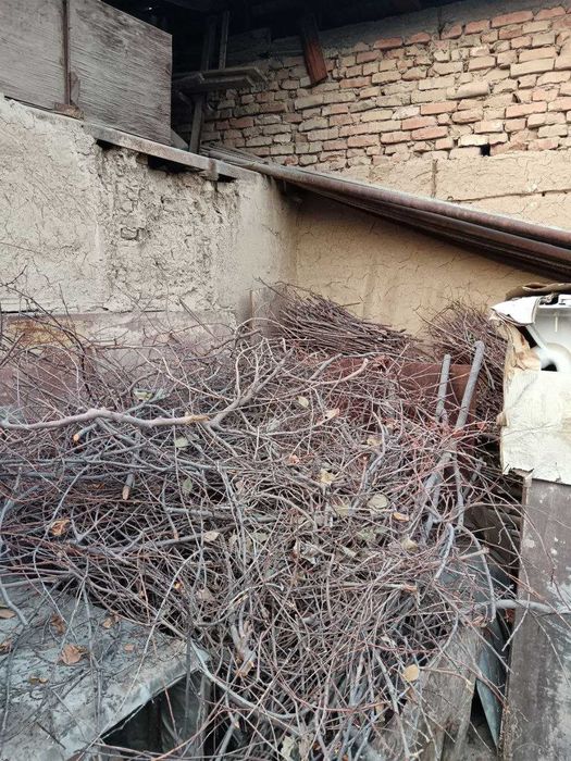 Дрова.Otin.Mayda otin.