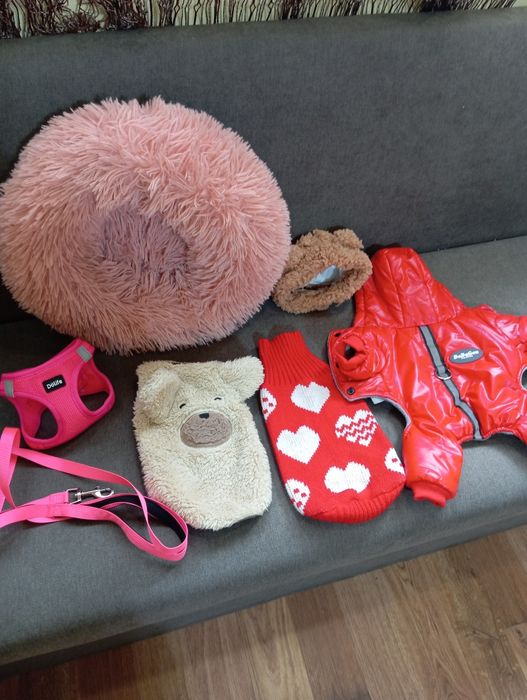 Един лот - Дрешки за куче