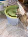 Fantana de apa pentru pisici Catit
