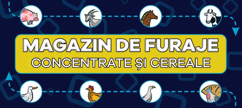 Graphic Designer / Grafician / Design Productie publicitara