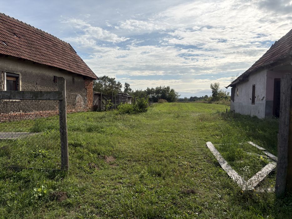 De vanzare case si terenuri la Urziceni Padure