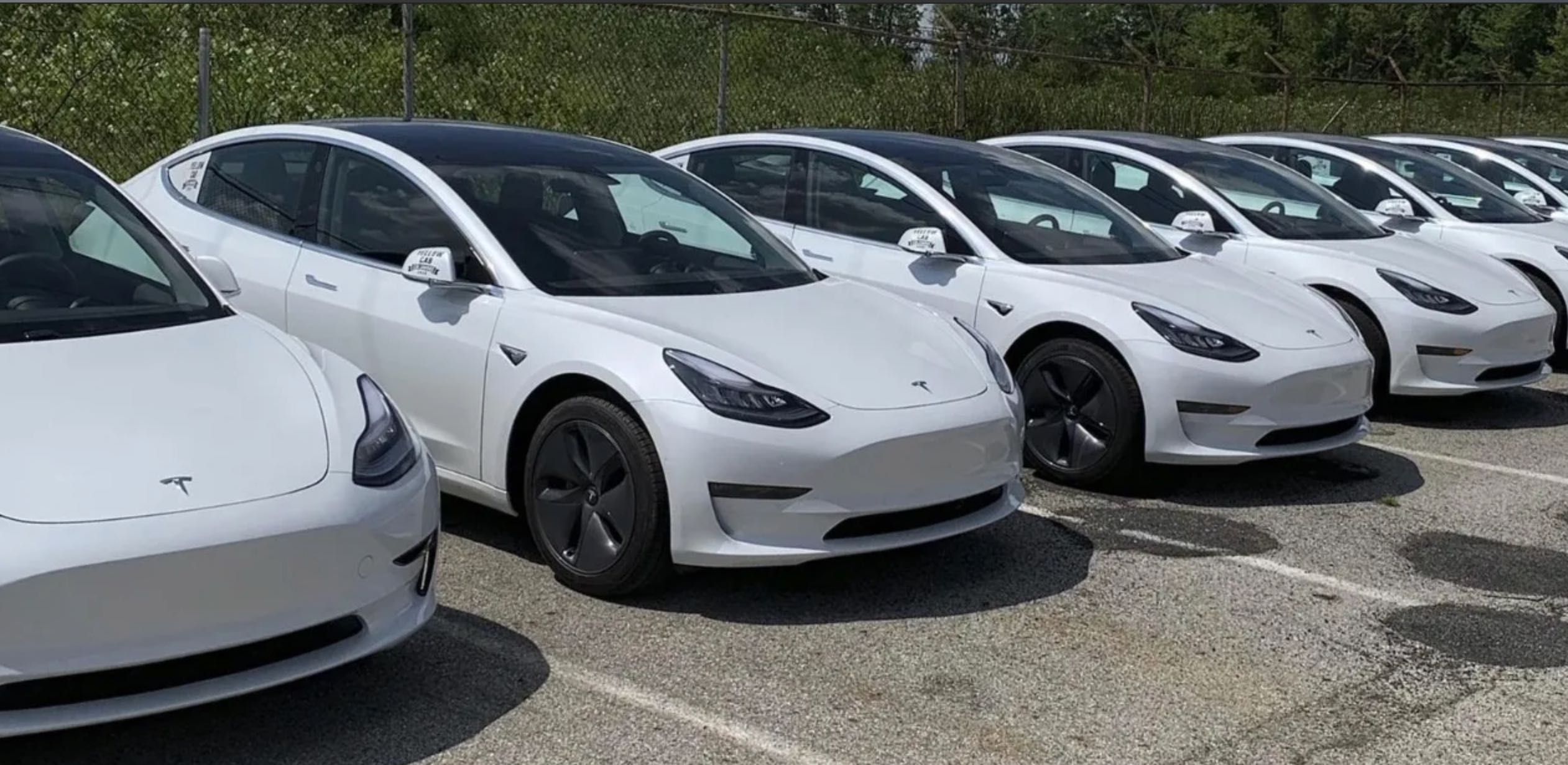 Inchirieri Tesla Model Y & Model 3 Uber, Bolt, Blue & Elec