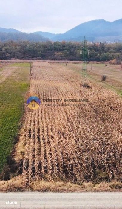 Teren intravilan de vanzare 5533 mp – Alexandru cel Bun