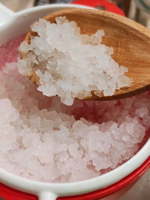 Ciuperca kefir de apa de lapte ciuperca tibetana