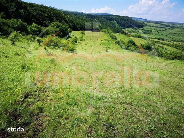 Teren de vanzare in jud.Cluj, Feleacu 3.100 mp