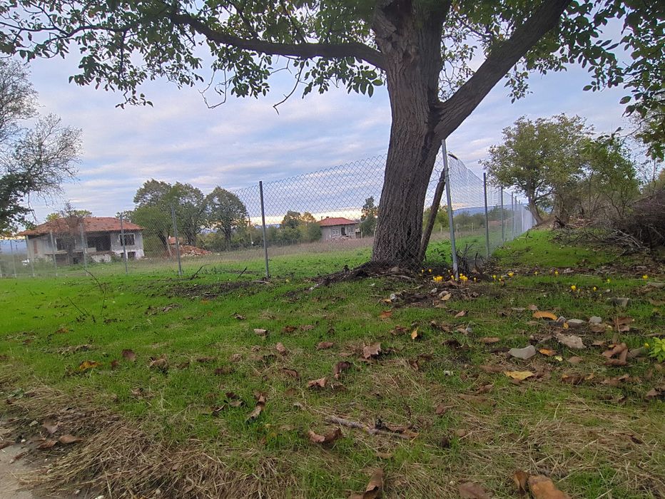 Имот в с. Бързица, общ. Провадия