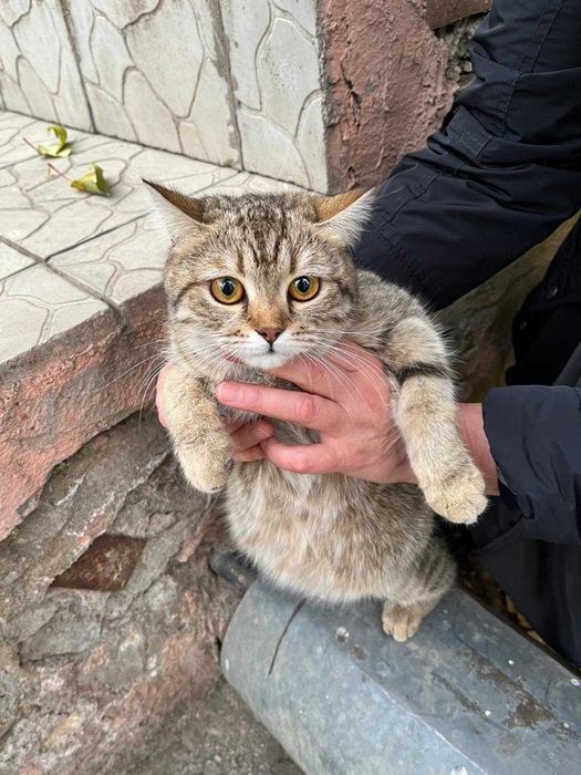 Мусенька ищет своего человека