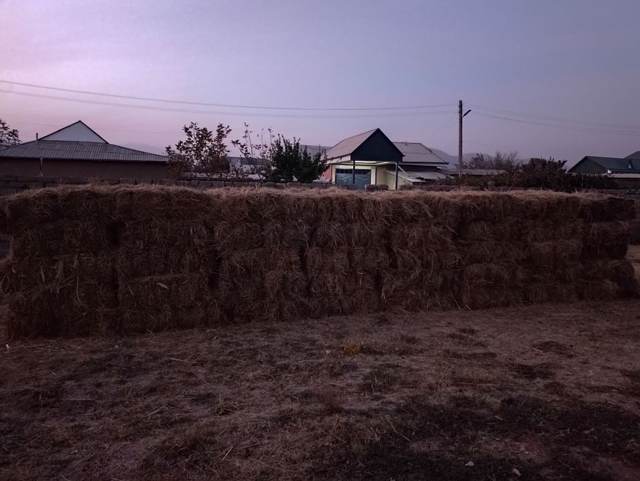 Pichan Пичан пресс