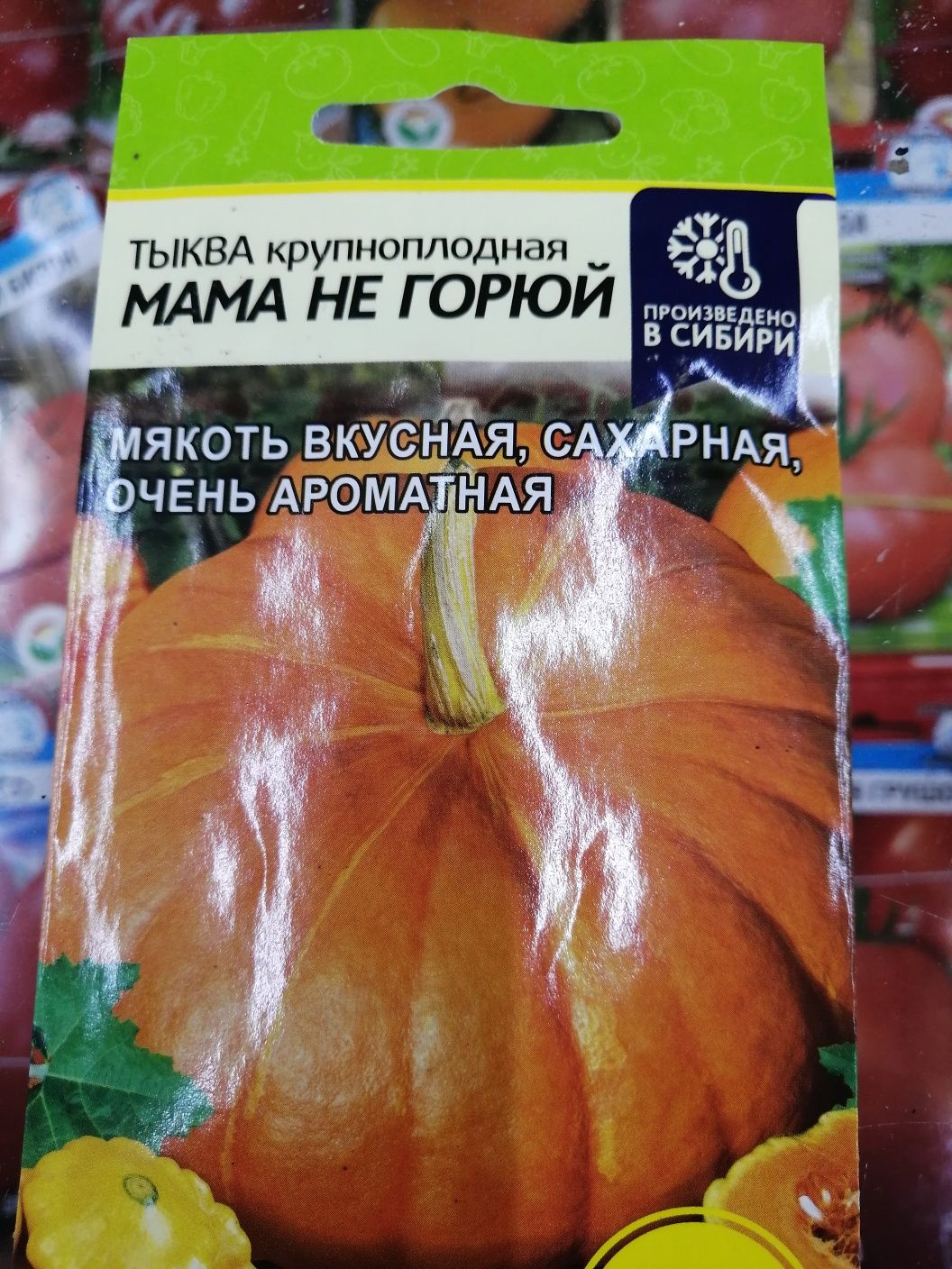 Продам тыкву дачная