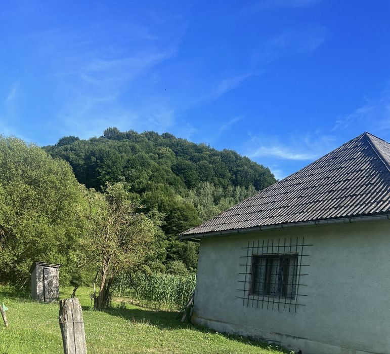 Casa + teren + padure sat Moliset, jud Bistrita Nasaud