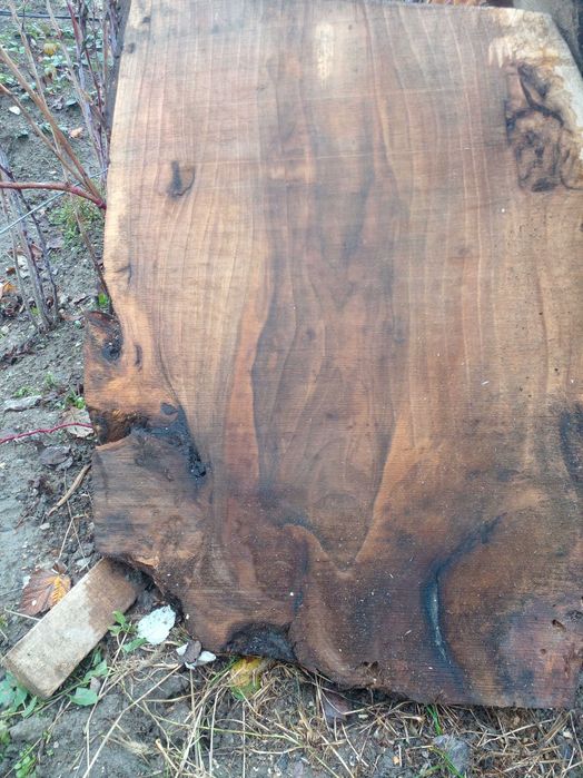 Radacina de nuc sectionata