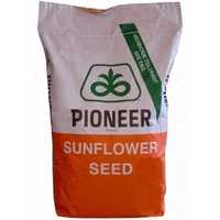 Floarea-soarelui Pioneer P64LE99