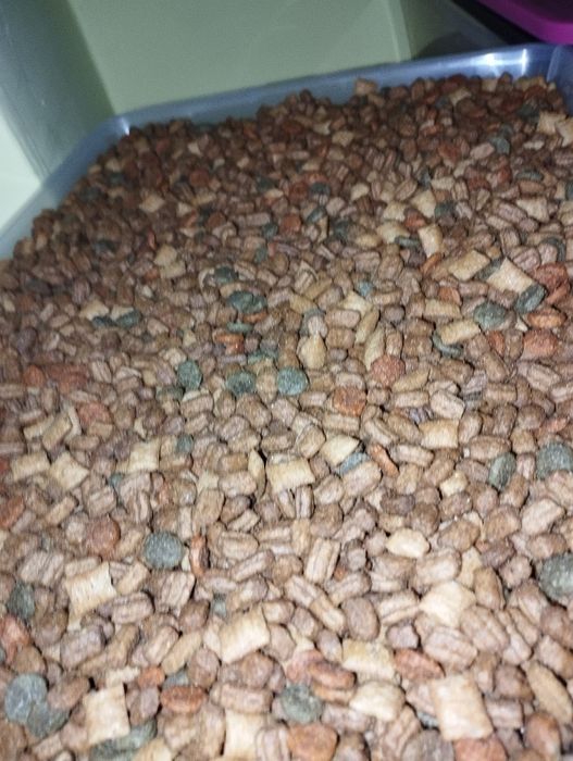 Bobite whiskas pisici adult.