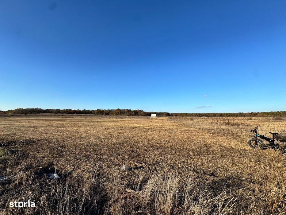 COMISION 0% | Teren Intravilan | Mosnita Veche | 775 mp | 26 mp Front