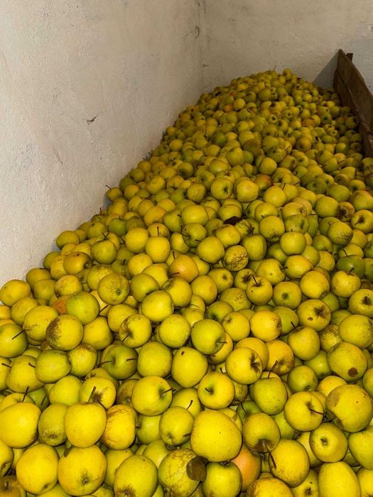 Mere de vanzare diverse soiuri