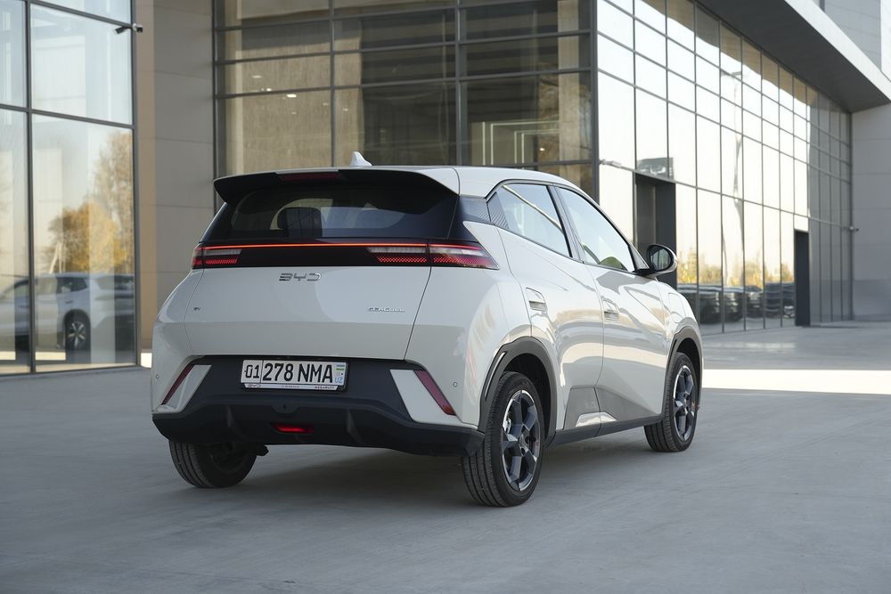 BYD SEAGULL 405 km Flying