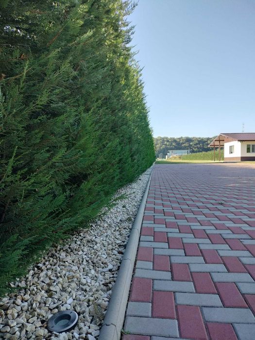 Teren + casa de vanzare Onesti, str Marasesti nr. 92B
