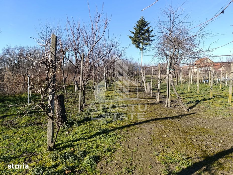 Casa individuala cu teren generos 2158mp, front 12m, livada, Freidorf