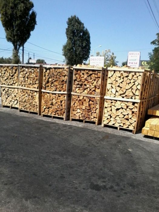 cherestea rasinoasa promoție !