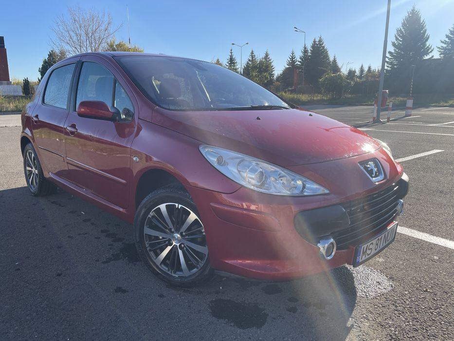 Peugeot 307 1.6 benzina