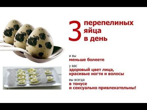 Бөдене жұмыртқасы емге. Перепелиные яйцо