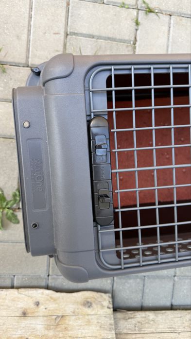 Cutie transport caini