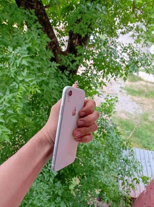 Iphone xr face ud true tone bor