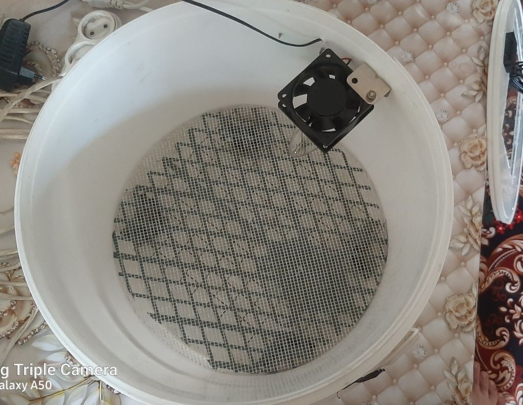 Inkubator 30talik tovuq va 60talik bedana tuxumlari uchun