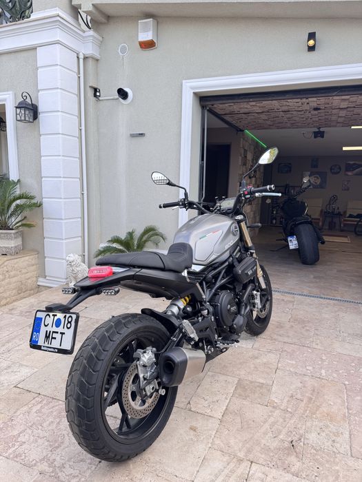 Benelli Leoncino 800