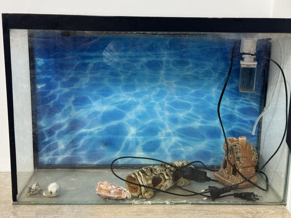 Пролается аквариум