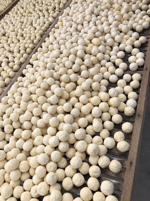 qurt maxsulotlari optom narxlarda