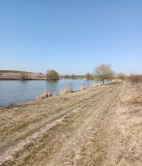 Teren de vanzare in Sat Walter Mărăcineanu ,Comuna Iepuresti cu deschi