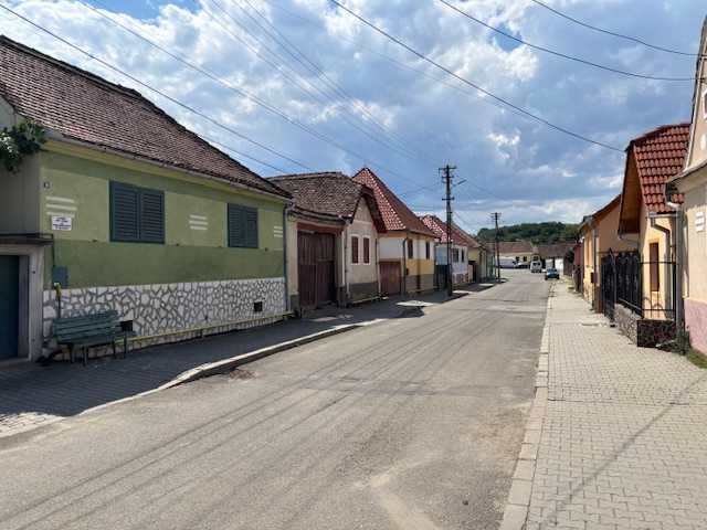 Vand casa, gospodarie mare si teren in Ocna Sibiului- pretabil atelier