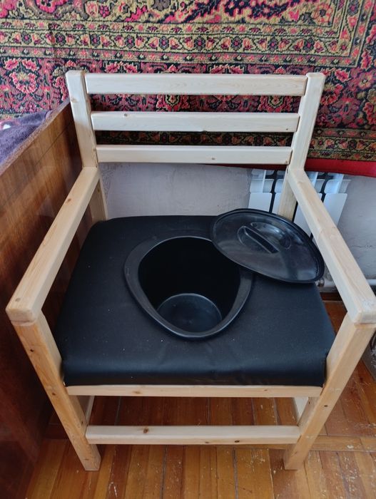 Биотуалет для взрослых